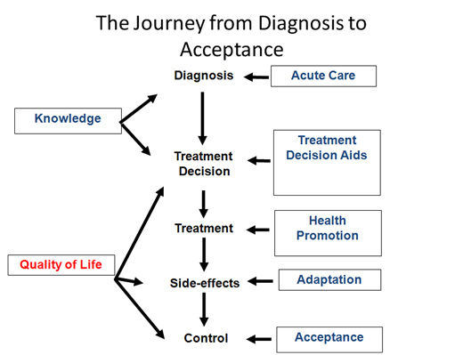 Chart shows stages down the middle: diagnosis, treatment decision, treatment, side effects, control. Factors on right side are knowledge and quality of life; secondary factors are listed on left.